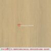 MAPPLE ASH - Gambar 12