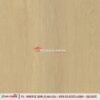 MAPPLE ASH - Gambar 10