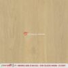 MAPPLE ASH - Gambar 8