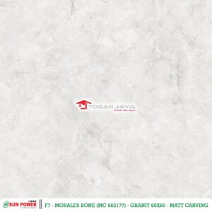 MORALES BONE - Gambar 4