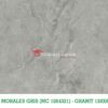 MORALES GRIS