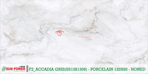ACCADIA GRIS - Gambar 2