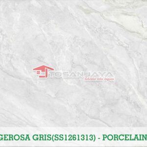 GEROSA GRIS