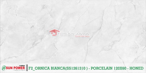 ORNICA BIANCA - Gambar 2