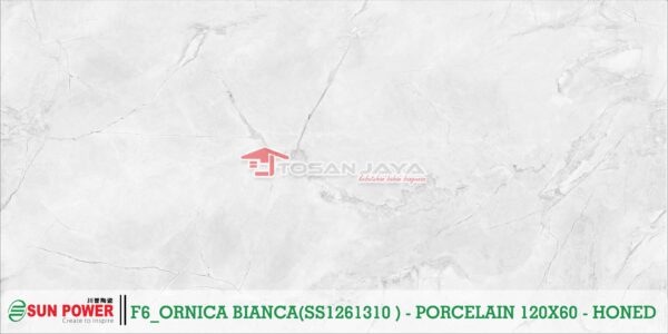ORNICA BIANCA - Gambar 6