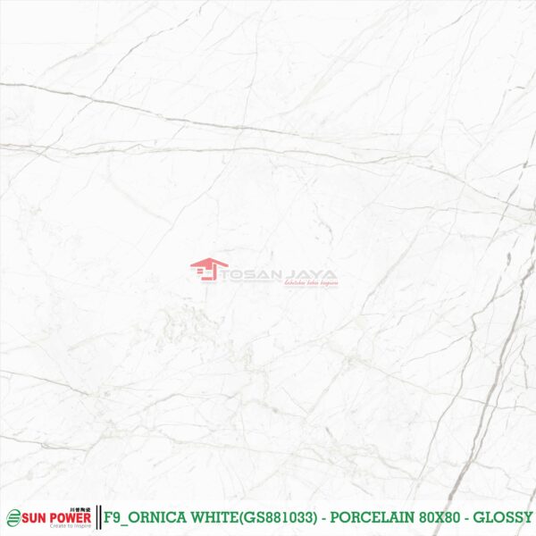 ORNICA WHITE - Gambar 9