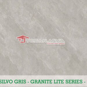 SILVO GRIS