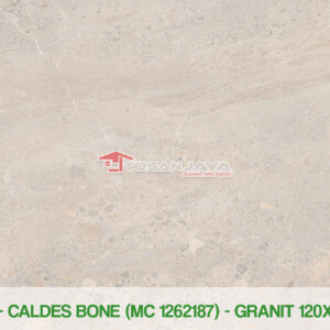 CALDES BONE