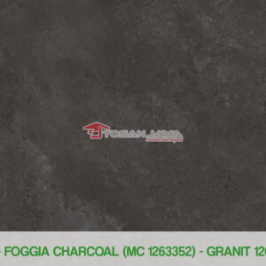 FOGGIA CHARCOAL