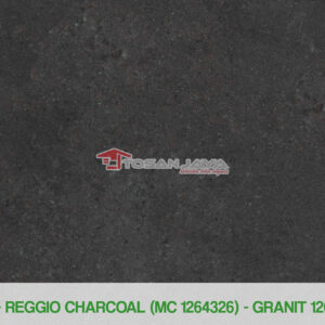 REGGIO CHARCOAL